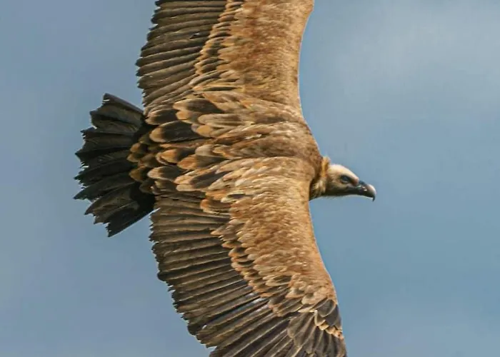 Le Cabanon Ferienhaus *